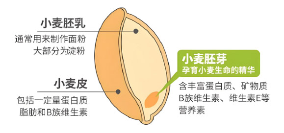 营养多样性